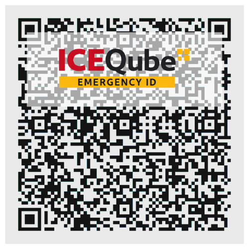 Single ICEQube QR Pack